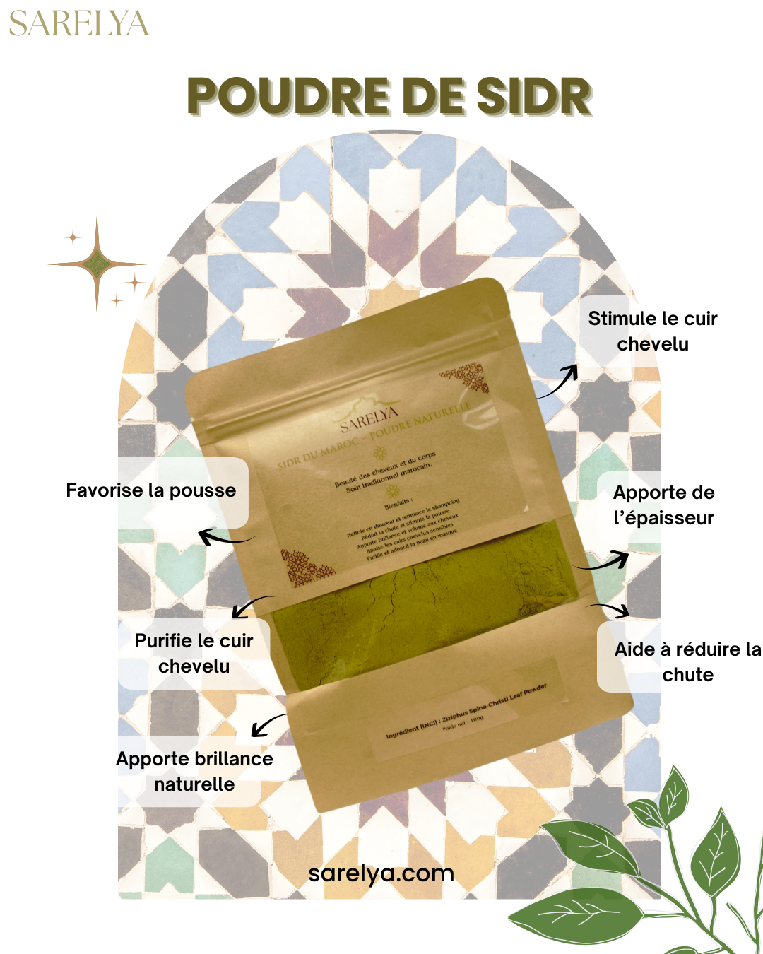 Poudre de Sidr Naturelle – Soin Cheveux & Corps